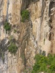 Ko Song Phi Nong ladder to bird nests.JPG (78 KB)